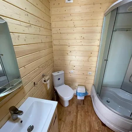 Pidstromom Mykulychyn