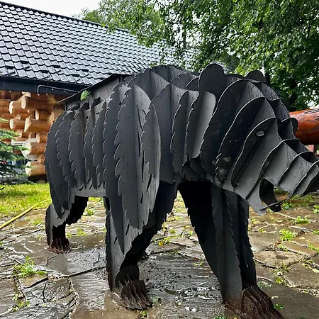 Pidstromom Mykulychyn